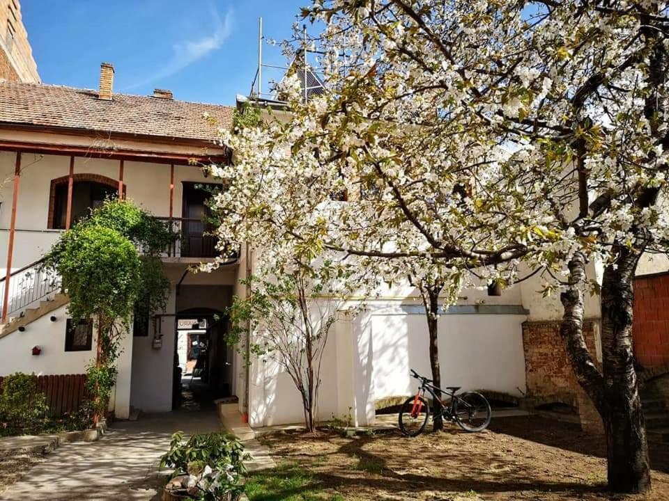 Casa Miron 1 Leilighet Timişoara Eksteriør bilde